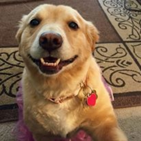  Meet your Poshers, Kelly & Tracey!  - Picture 4 of 15